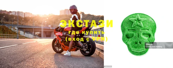 крисы Бородино
