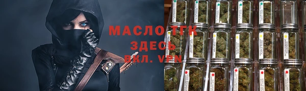 крисы Бородино