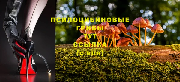 прущая мука Богородск