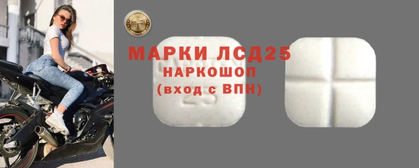 крисы Богородицк