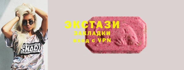 крисы Богородицк