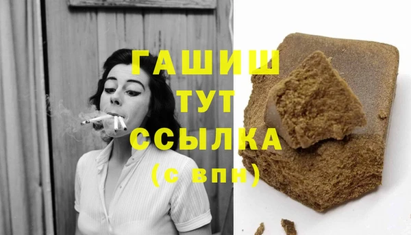 крисы Бородино